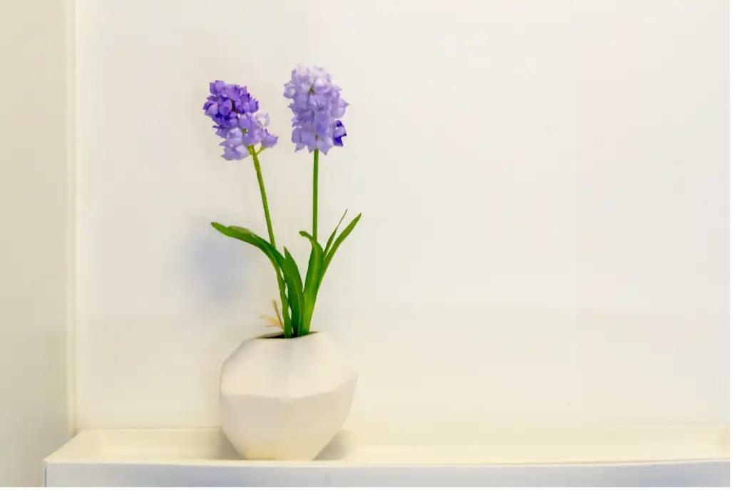 Apartments Mimac 오미스 외부 사진